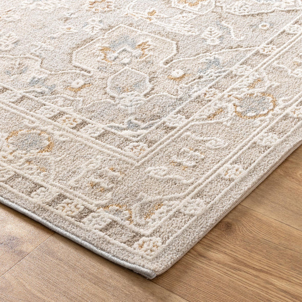 Trend Medallion Beige Multi Transitional Rug - T200