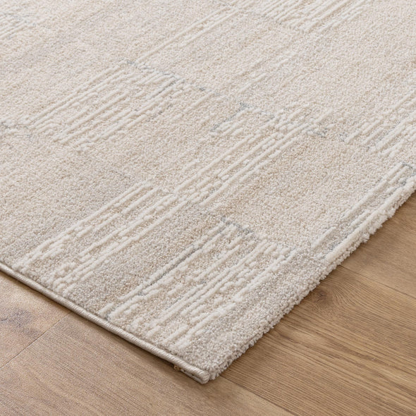 Trend Distressed Beige and Grey Rug - T300