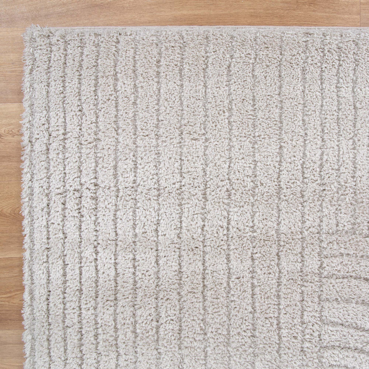 Tender Dior Shag in Beige Rug – RugsDirect